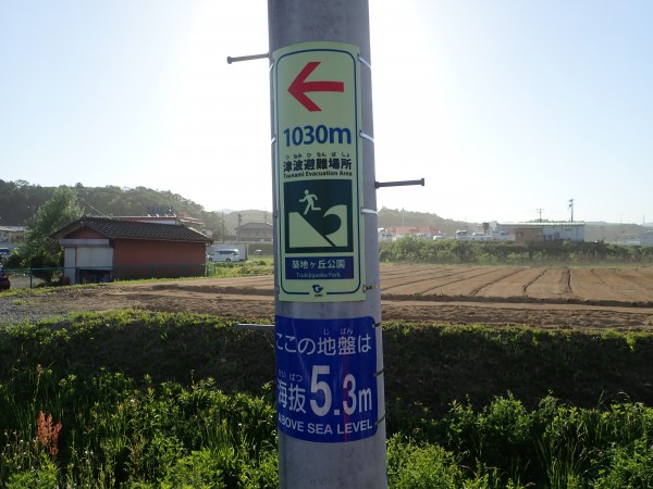 tsunami evacuation sign