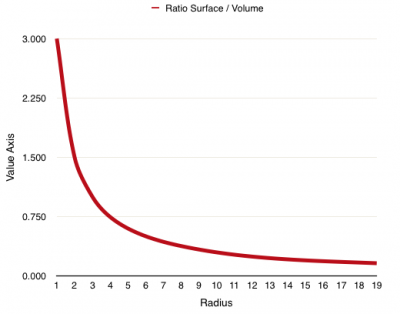 Surface to Volume ratio